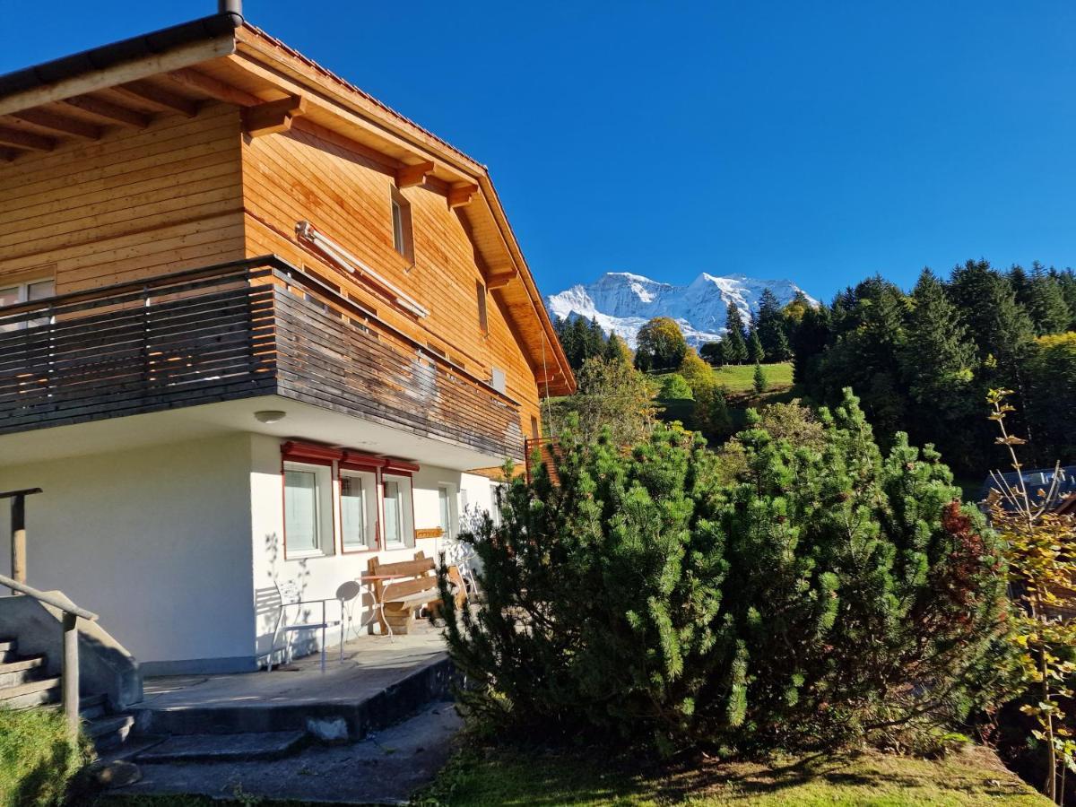 Chalet Viola - Verena'S Loft Wengen Zewnętrze zdjęcie