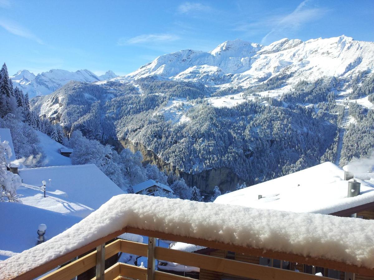 Chalet Viola - Verena'S Loft Wengen Zewnętrze zdjęcie