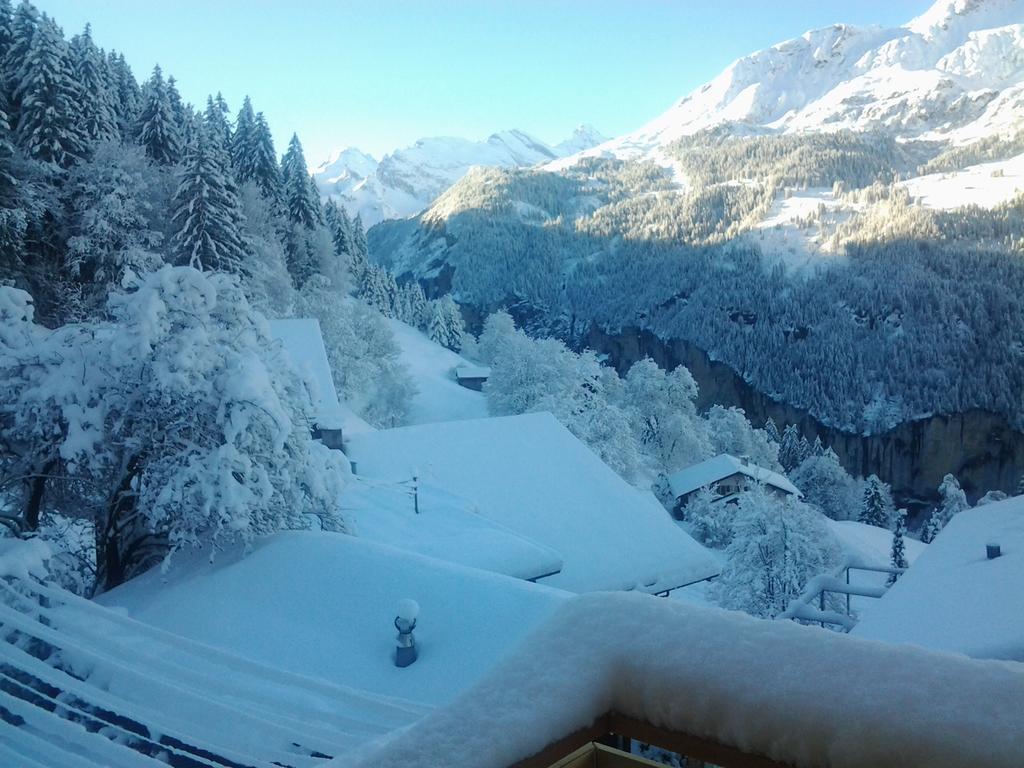 Chalet Viola - Verena'S Loft Wengen Zewnętrze zdjęcie