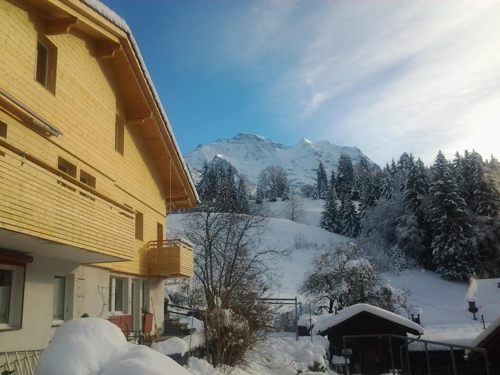 Chalet Viola - Verena'S Loft Wengen Zewnętrze zdjęcie
