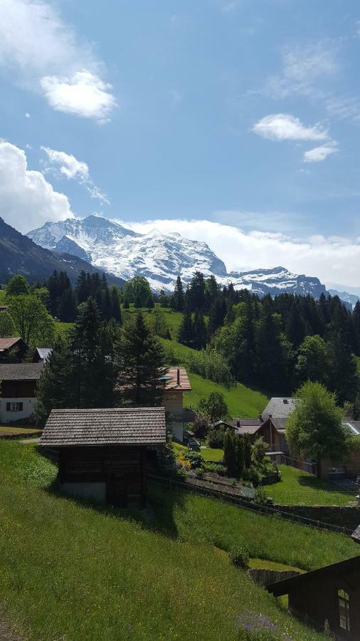Chalet Viola - Verena'S Loft Wengen Zewnętrze zdjęcie